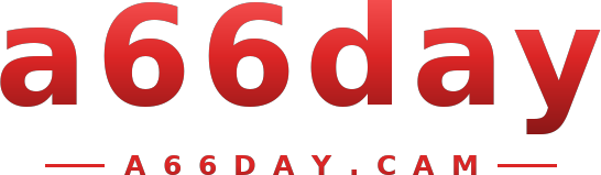 a66day logo